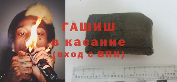 хмурый Алексин