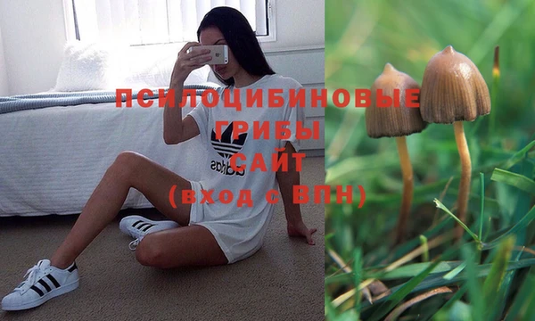 хмурый Алексин