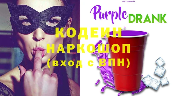 хмурый Алексин