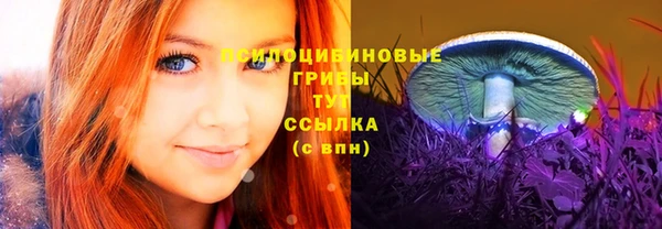 эйфоретик Алзамай