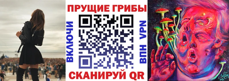 Псилоцибиновые грибы Cubensis  где купить   Буй 